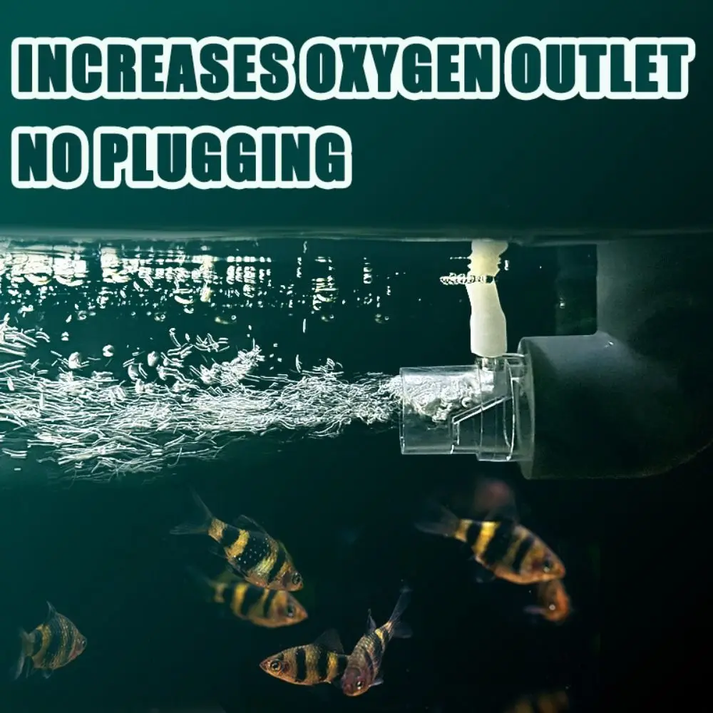Acrylic Fish Tank Filter Outlet Clear 16/20/25mm Increasing Oxygen Practical Filter Outlet Pipe Aquarium Oxygen Head
Acrylic Fish Tank Filter Outlet Clear 16/20/25mm Increasing Oxygen Practical Filter Outlet Pipe Aquarium Oxygen Head