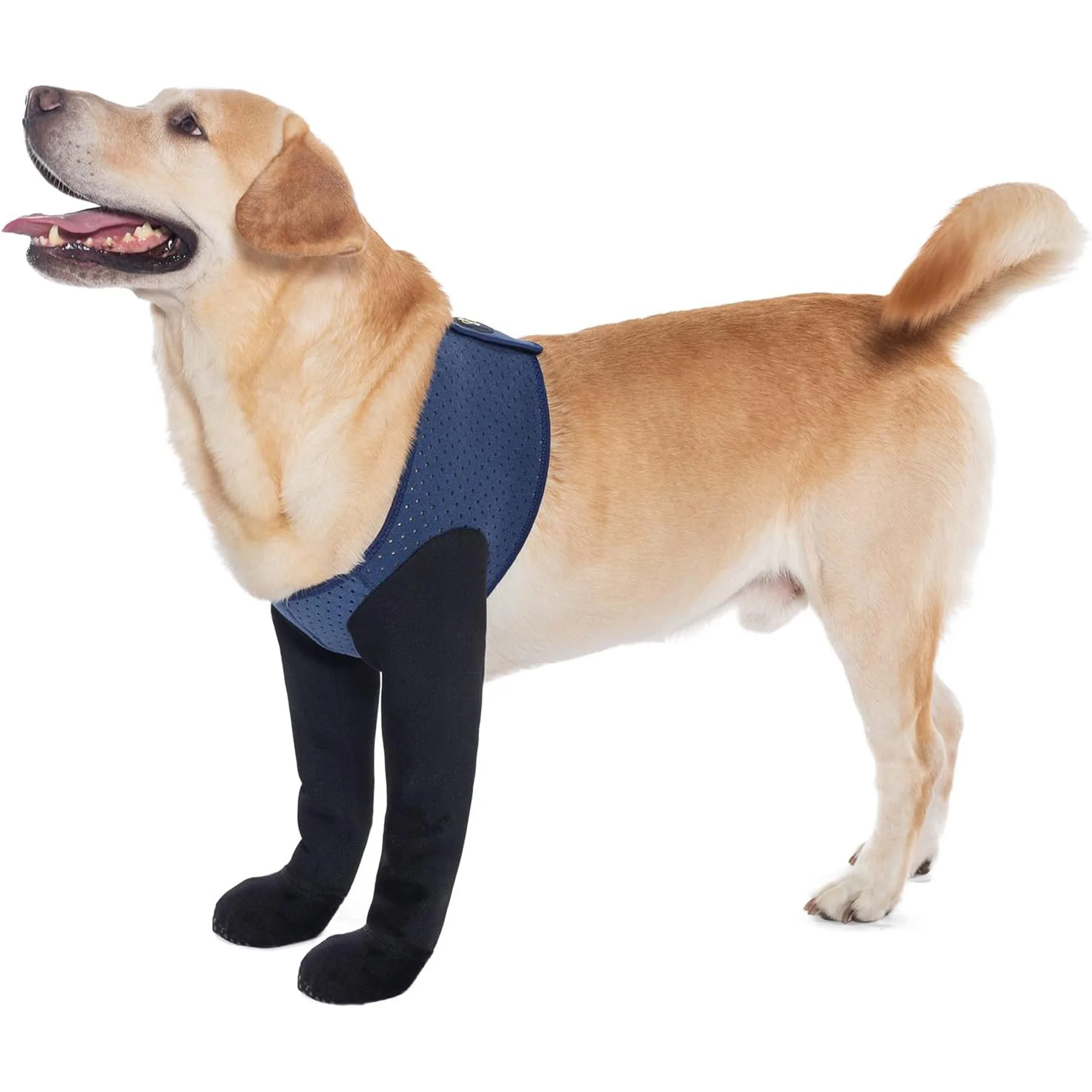 Pet protective gear Dog protective gear Dog front leg injury auxiliary belt Legs anti-add anti-bite rehabilitation belt Leg join
Pet protective gear Dog protective gear Dog front leg injury auxiliary belt Legs anti-add anti-bite rehabilitation belt Leg join