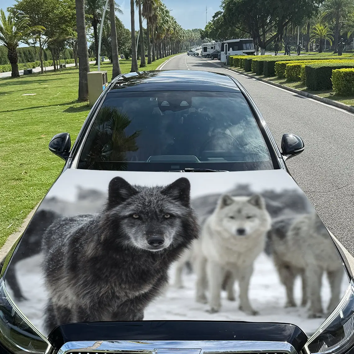 Car Decals Two WolvesDesign, featuring a dark - colored wolf and a light - colored wolf together Car Hood Sticker, Waterproof Se
Car Decals Two WolvesDesign, featuring a dark - colored wolf and a light - colored wolf together Car Hood Sticker, Waterproof Se