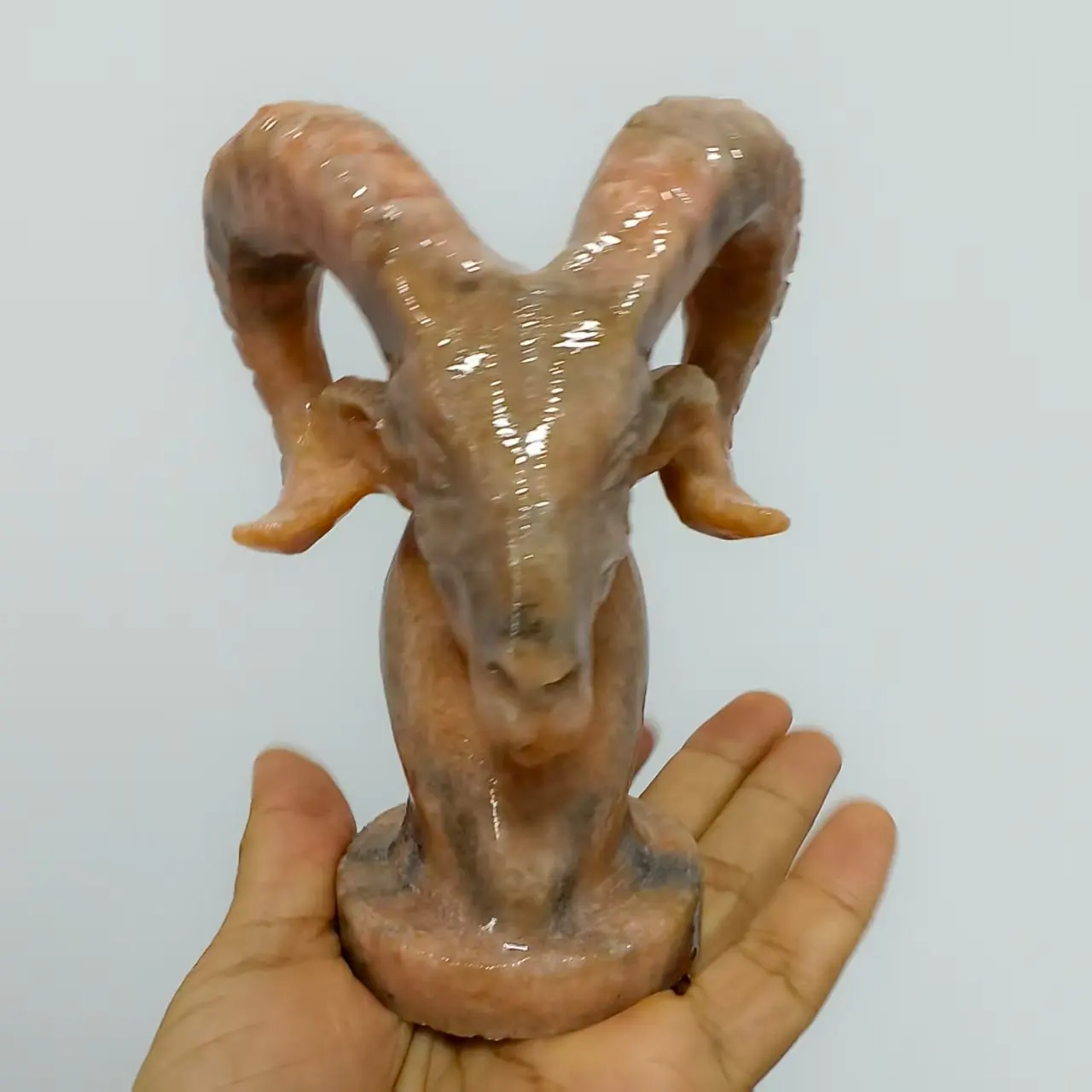 12cm Natural Sunstone Sheep Skull, Orange Quartz Crystal Carved Sheep Head, Mineral, Spiritual Energy, Healing
12cm Natural Sunstone Sheep Skull, Orange Quartz Crystal Carved Sheep Head, Mineral, Spiritual Energy, Healing
