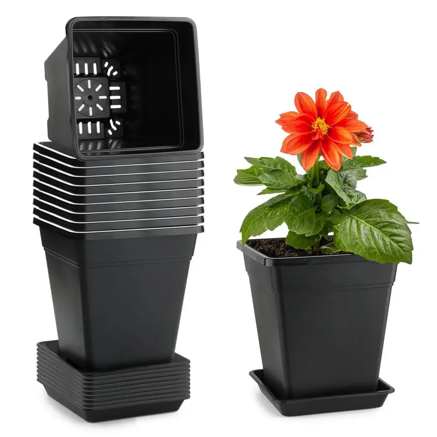 Квадратные пластиковые горшки для растений, 10 штук, для улицы и дома, с дренажными отверстиями и поддонами, объем 0,5 галлона
Квадратные пластиковые горшки для растений, 10 штук, для улицы и дома, с дренажными отверстиями и поддонами, объем 0,5 галлона