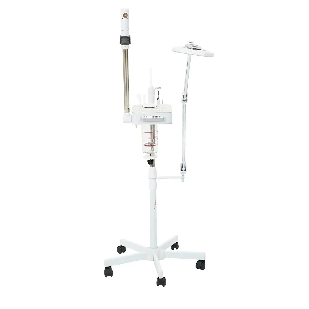 Озоновый паровой очиститель для лица 4-в-1 с увеличительной LED-лампой, высокочастотной и гальванической ароматерапией, индивидуальная комплектация
Озоновый паровой очиститель для лица 4-в-1 с увеличительной LED-лампой, высокочастотной и гальванической ароматерапией, индивидуальная комплектация