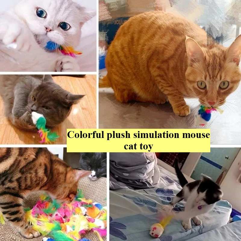 Fun Cat Toys Colorful Feather Mouse Cat Self Fun Boredom Relieving Colorful Feather Interactive Cats Toy Cat Accessories
Fun Cat Toys Colorful Feather Mouse Cat Self Fun Boredom Relieving Colorful Feather Interactive Cats Toy Cat Accessories
