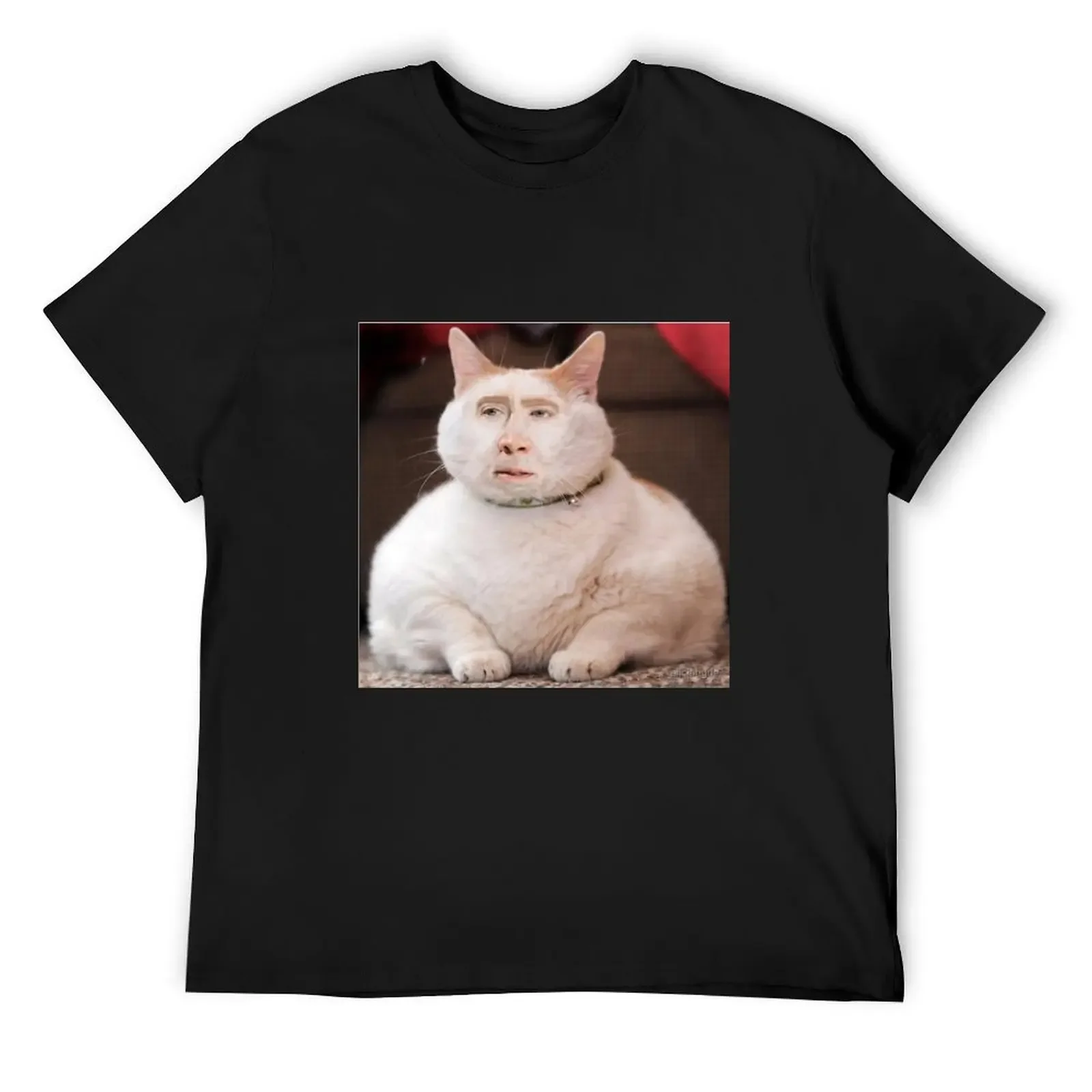 Nicolas Cage Photoshop Cat T-Shirt customs design your own vintage clothes luxury clothing labubu vintage mens plain t shirts
Nicolas Cage Photoshop Cat T-Shirt customs design your own vintage clothes luxury clothing labubu vintage mens plain t shirts