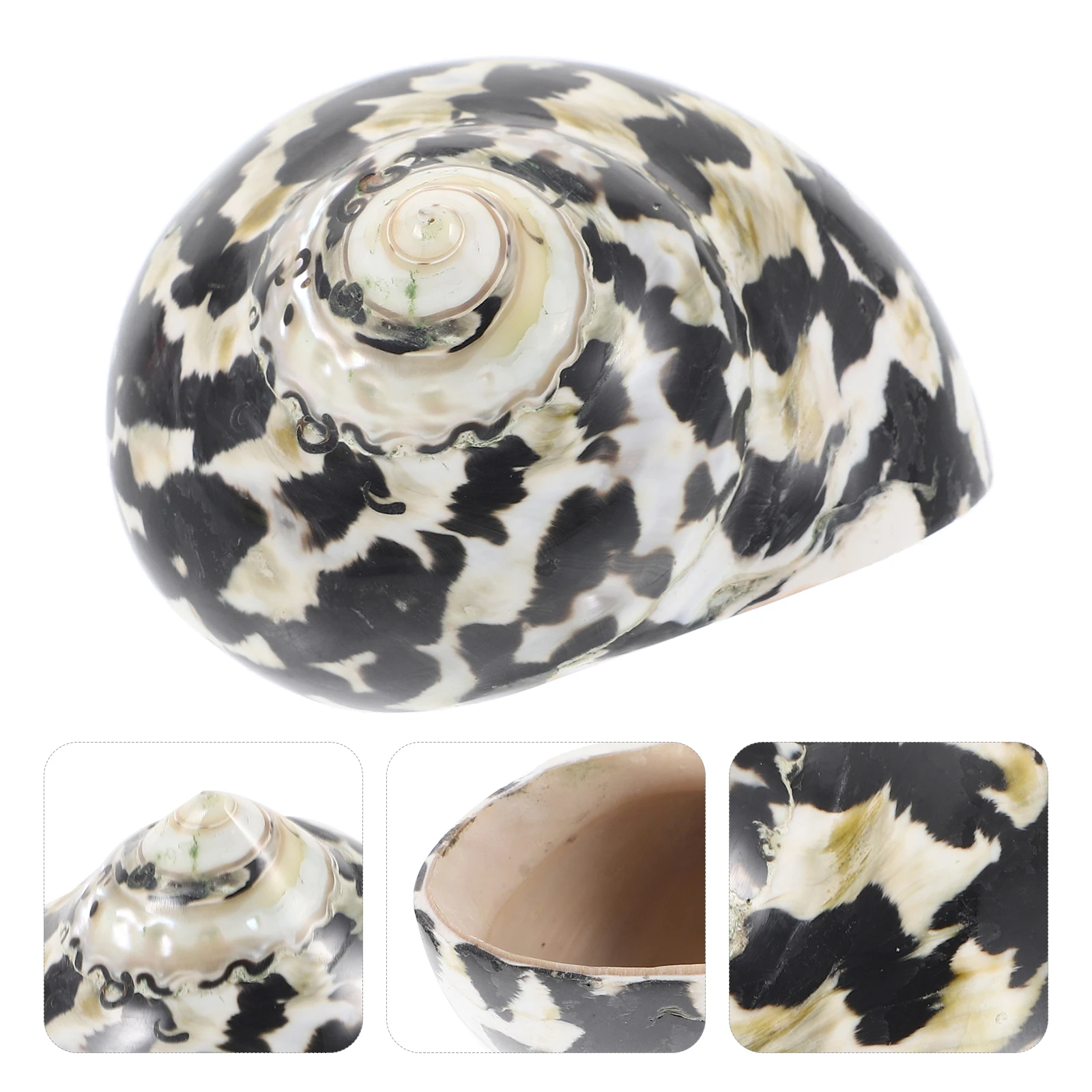 Natural Craft Decor Aquarium Adorn Exquisite Decoration Desktop Craft Creative Adornment For Fish Tank Landscape Seashells
Natural Craft Decor Aquarium Adorn Exquisite Decoration Desktop Craft Creative Adornment For Fish Tank Landscape Seashells
