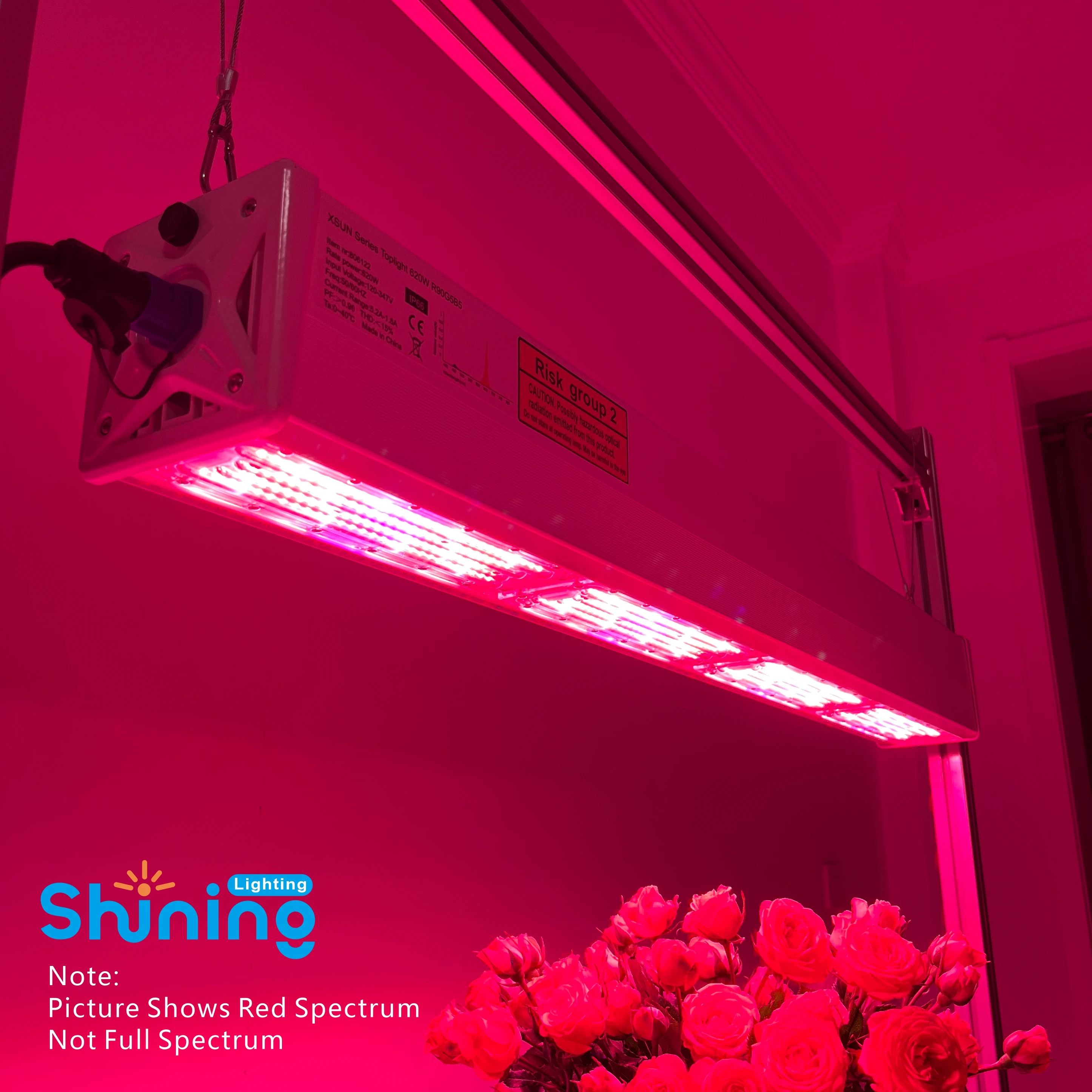 Full Spectrum LED Plant Grow Lights For Plant Seedlings Growth Flowering & Fruiting-Hydroponics/Greenhouse-300W/400W/500W/600W
Full Spectrum LED Plant Grow Lights For Plant Seedlings Growth Flowering & Fruiting-Hydroponics/Greenhouse-300W/400W/500W/600W
