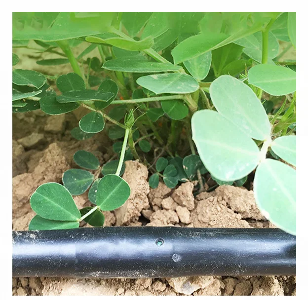 2025Irrigation Kit Design Onion Saving Watering Irrigation Type Drip Irrigation Tape 
2025Irrigation Kit Design Onion Saving Watering Irrigation Type Drip Irrigation Tape