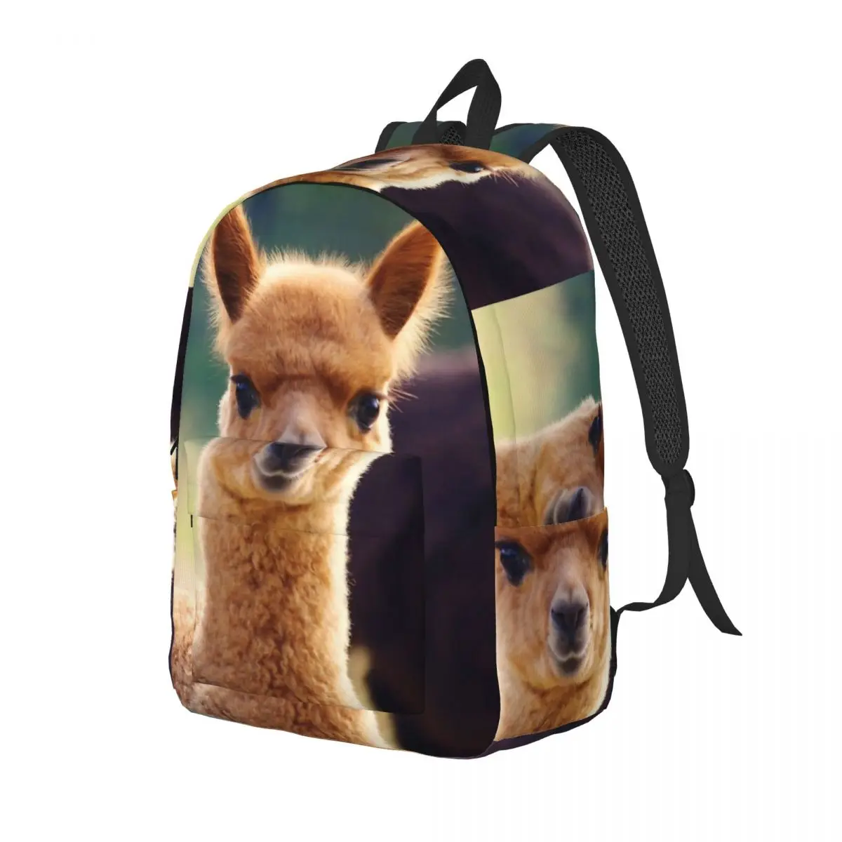 Llama Alpaca Animal Backpack Daypack Large Capacity Children BookBag School Bag Shoulder Bags for Men Women
Llama Alpaca Animal Backpack Daypack Large Capacity Children BookBag School Bag Shoulder Bags for Men Women