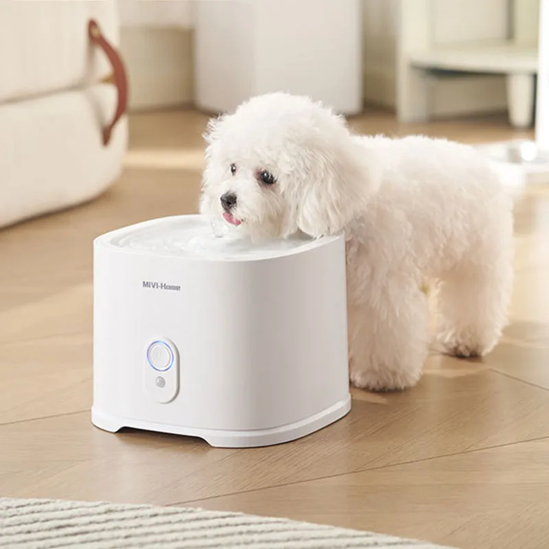 2025 New Design Cat Water Fountain 4L Automatic Pet Water Dispenser Ultra-Quiet Pump for Cats Dogs Multiple Pets
2025 New Design Cat Water Fountain 4L Automatic Pet Water Dispenser Ultra-Quiet Pump for Cats Dogs Multiple Pets