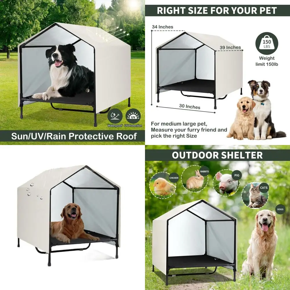 Large Breed Outdoor Dog House with Elevated Bed, Waterproof & Sunshade (39x30x34)
Large Breed Outdoor Dog House with Elevated Bed, Waterproof & Sunshade (39x30x34)