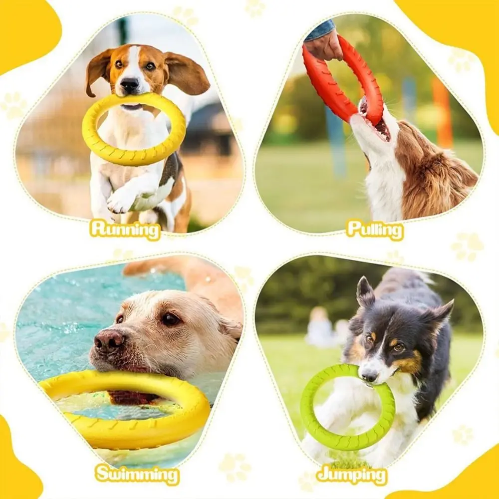 Indestructible 29cm Dog Chew Teeth Cleaning EVA Dog Chew Rings Eco-Friendly Pet Supplies Indestructible Pull Ring Medium Dogs
Indestructible 29cm Dog Chew Teeth Cleaning EVA Dog Chew Rings Eco-Friendly Pet Supplies Indestructible Pull Ring Medium Dogs