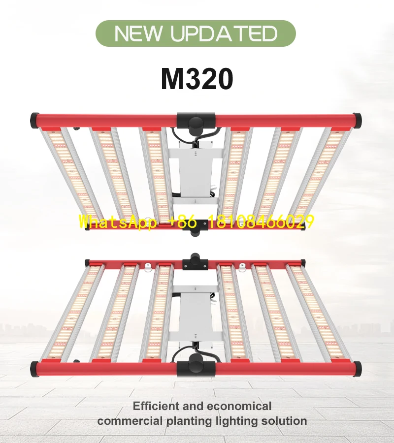 800-1000 PPFD Ra90 Dimmable Hydroponic Plants Bloom For 320W Full Spectrum LM281B LED Grow Light IP65 Waterproof Aluminum
800-1000 PPFD Ra90 Dimmable Hydroponic Plants Bloom For 320W Full Spectrum LM281B LED Grow Light IP65 Waterproof Aluminum