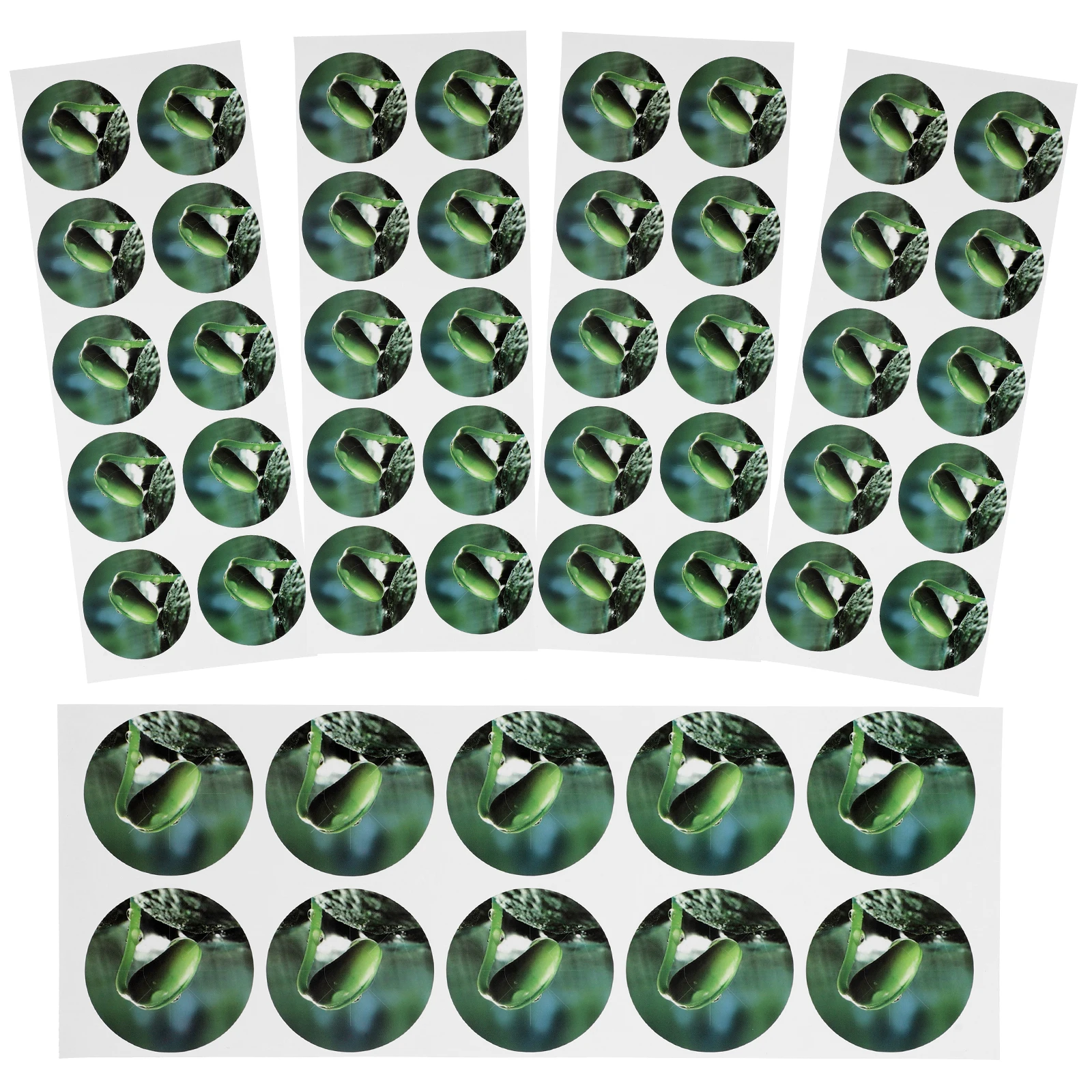 5 Sheets 50 Stickers Soilless Cultivation Moss-proof Labels Round PVC Seedling Tags Planting Supplies Hydroponic Markers
5 Sheets 50 Stickers Soilless Cultivation Moss-proof Labels Round PVC Seedling Tags Planting Supplies Hydroponic Markers