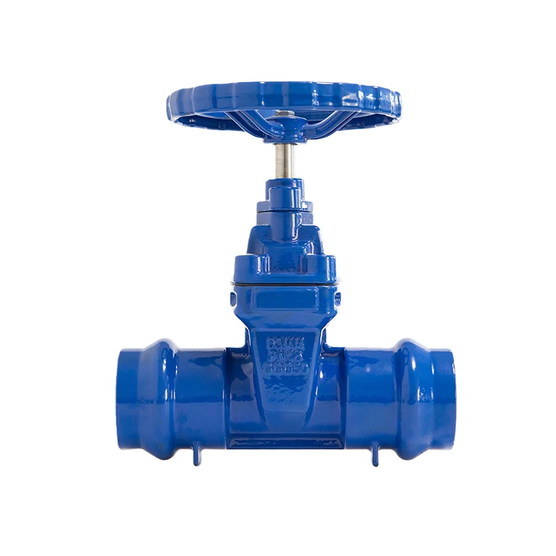 Chinese Supplier Competitive Price Ductile Iron 63mm Sleeve Gate Valve with Handwheel
Chinese Supplier Competitive Price Ductile Iron 63mm Sleeve Gate Valve with Handwheel