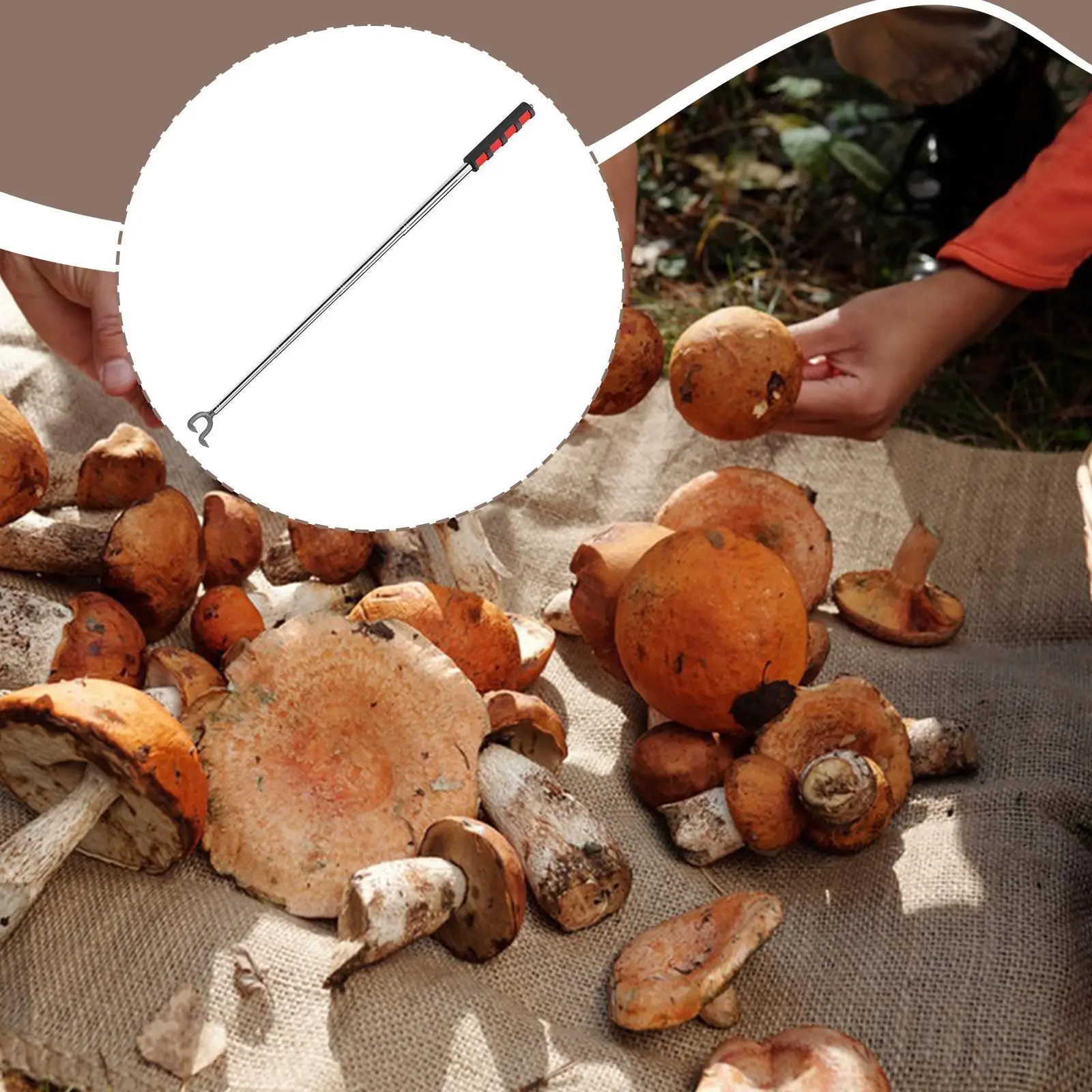 Telescopic Mushroom Picking Tool Ergonomic Handle Equipment Adjustable Length Two Prongs Versatile Mushroom Foraging Picker
Telescopic Mushroom Picking Tool Ergonomic Handle Equipment Adjustable Length Two Prongs Versatile Mushroom Foraging Picker