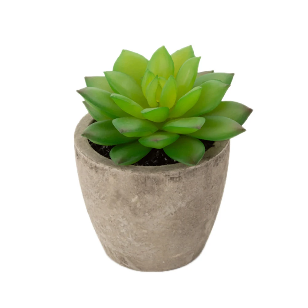 3pcs Simulated Succulent Potted Plants High Quality ArtificialVintage Country Style Garden Decoration For Home Office Hotel
3pcs Simulated Succulent Potted Plants High Quality ArtificialVintage Country Style Garden Decoration For Home Office Hotel