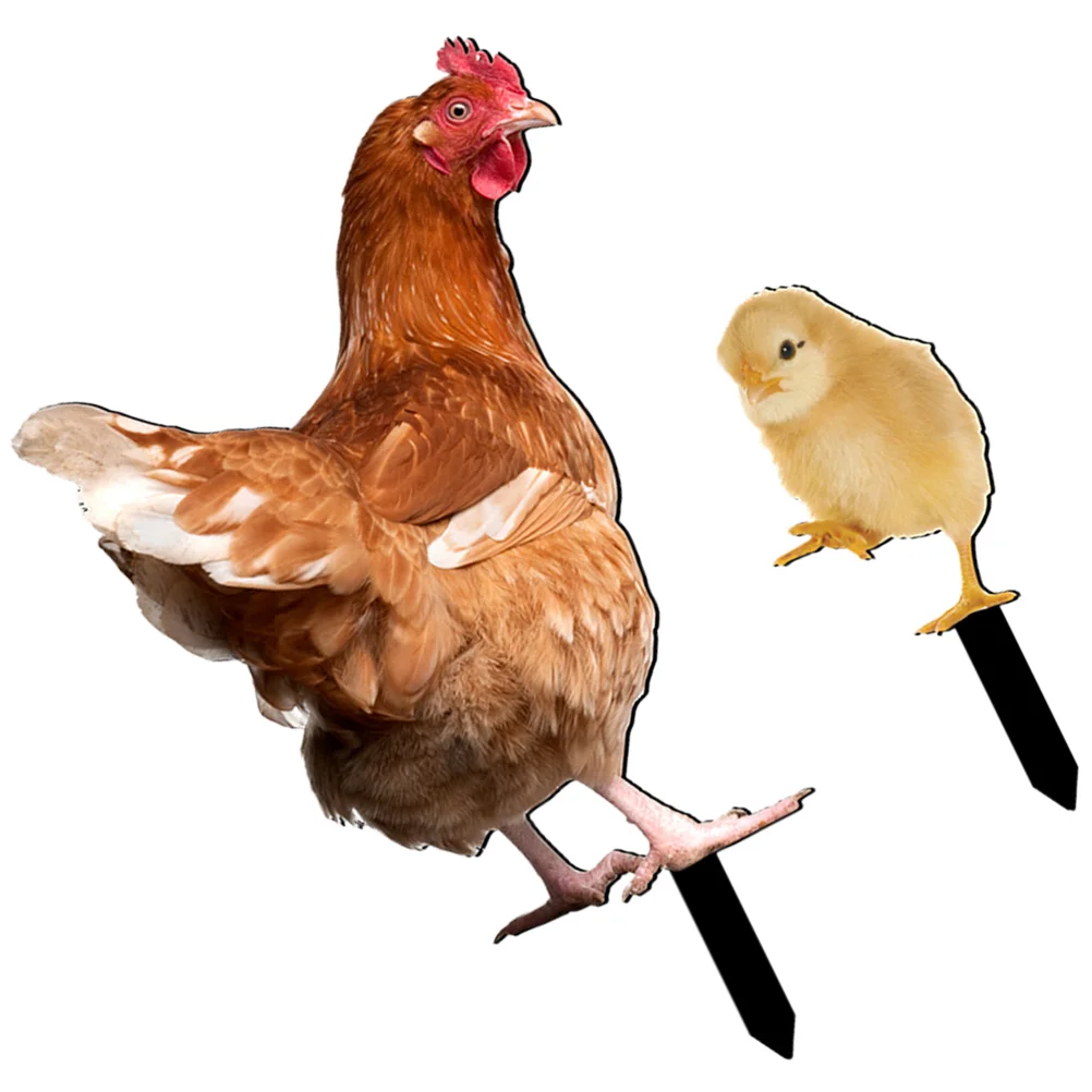 2 Pcs Chicken Coop Door Perch Automatic Feeder Accessories Garden Hen Stake Rooster
2 Pcs Chicken Coop Door Perch Automatic Feeder Accessories Garden Hen Stake Rooster