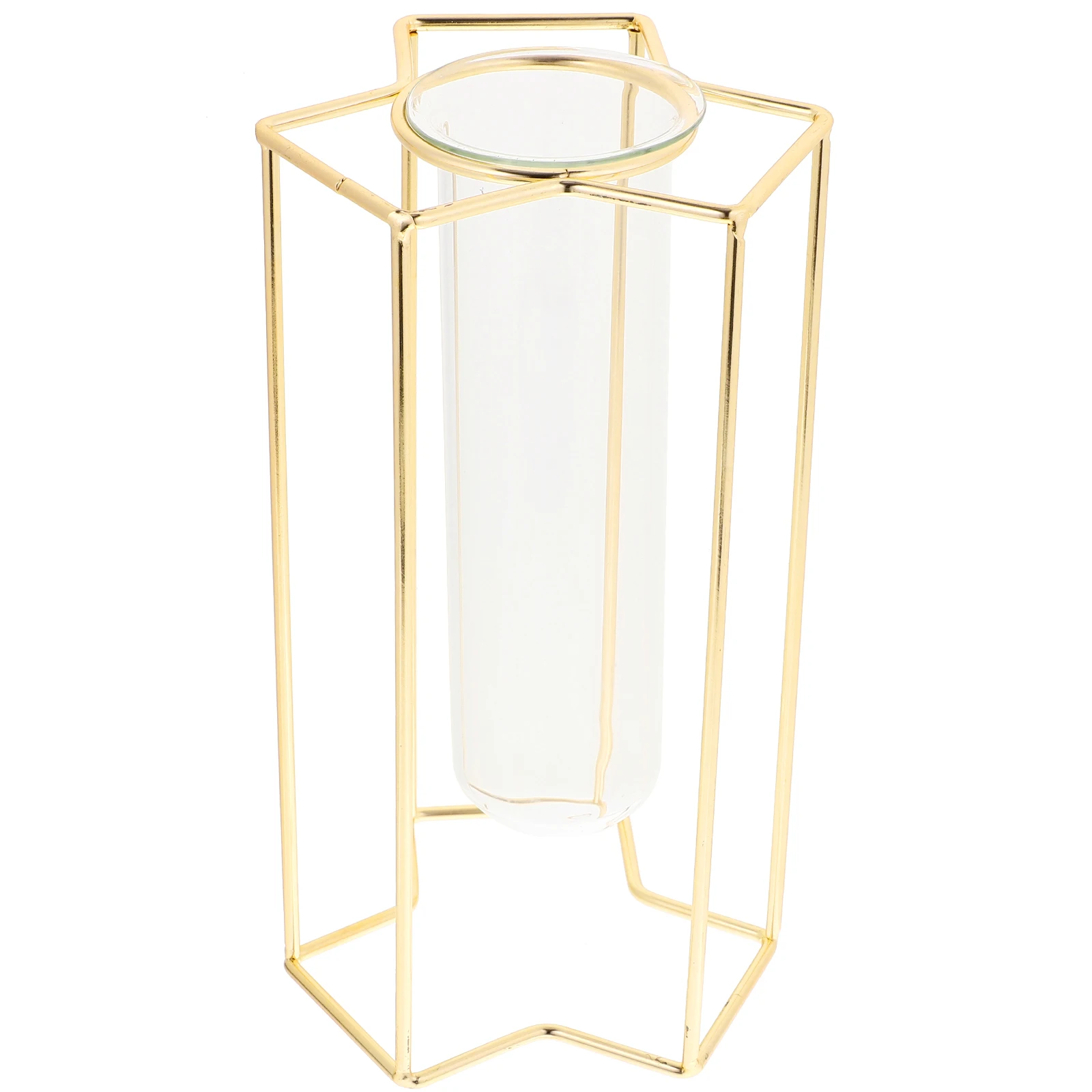 Vase for Flowers Decor Golden Iron Transparent Glass Home Office Smooth Surface Fine Workmanship Plant Arrangement Bedroom
Vase for Flowers Decor Golden Iron Transparent Glass Home Office Smooth Surface Fine Workmanship Plant Arrangement Bedroom