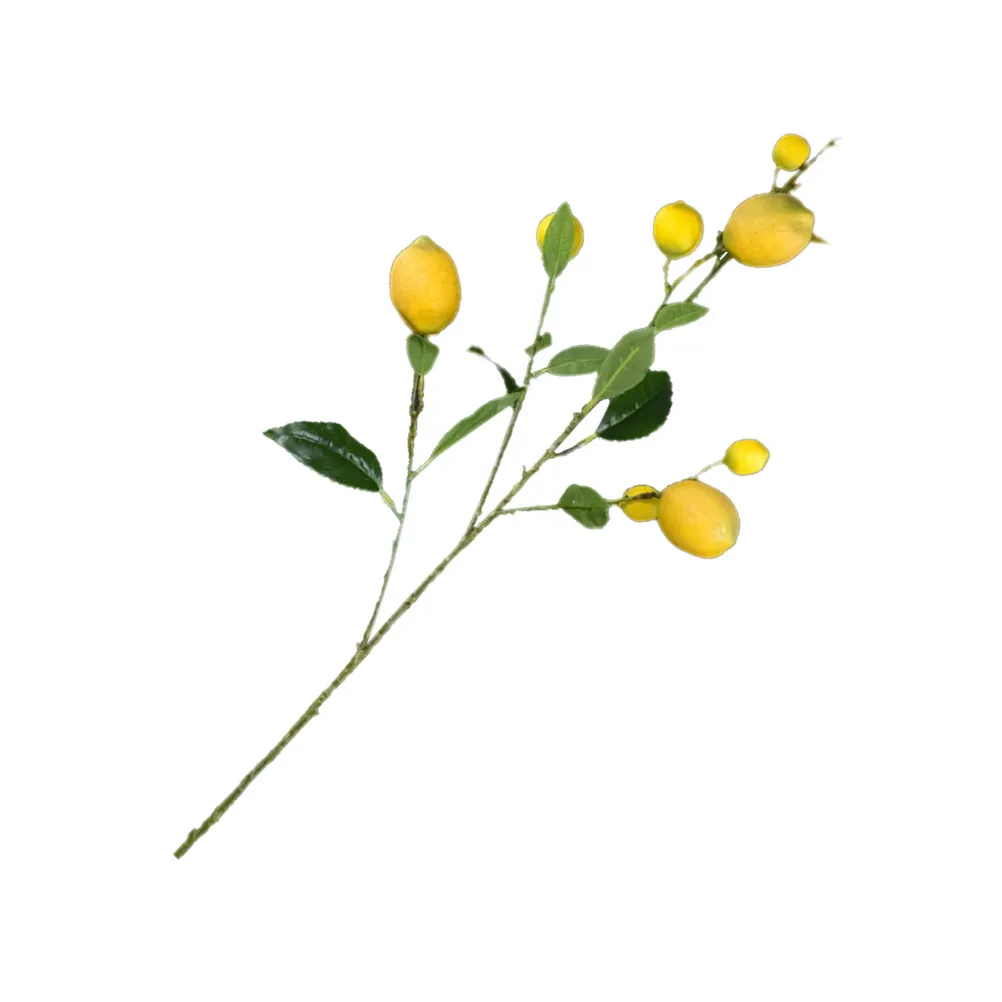 Реалистичные искусственные лимонные ветки, имитация веток деревьев для декора дома, сада, офиса, вечеринок, флористических композиций, фотосъемки
Реалистичные искусственные лимонные ветки, имитация веток деревьев для декора дома, сада, офиса, вечеринок, флористических композиций, фотосъемки