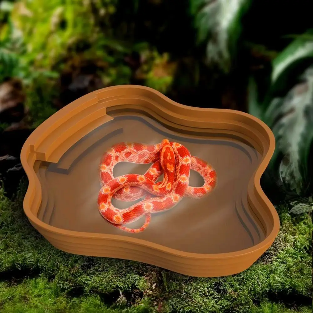 Stair Design Turtle Bathing Basin Anti-Slip Thickened Reptiles Water Basin Plastic Large Size Amphibian Water Bowl Lizard
Stair Design Turtle Bathing Basin Anti-Slip Thickened Reptiles Water Basin Plastic Large Size Amphibian Water Bowl Lizard