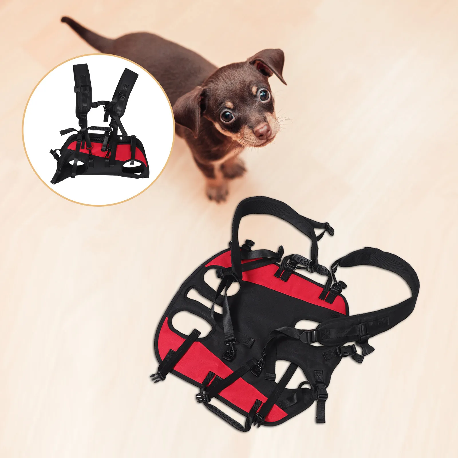 Рюкзак-переноска для животных с дышащей сеткой и двойными плечевыми ремнями для маленьких собак, кошек, щенков, для походов, велопрогулок, путешествий, активного отдыха, удобный
Рюкзак-переноска для животных с дышащей сеткой и двойными плечевыми ремнями для маленьких собак, кошек, щенков, для походов, велопрогулок, путешествий, активного отдыха, удобный