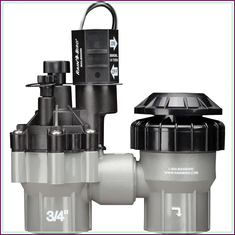 Professional Grade Anti-Siphon Valve with Flow Control, 3/4" Threaded Female x Female
Professional Grade Anti-Siphon Valve with Flow Control, 3/4" Threaded Female x Female