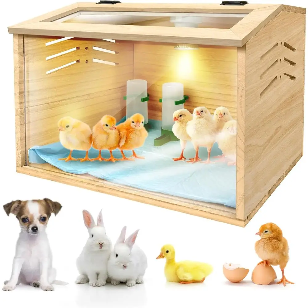 Adjustable Temp Brooding Box for Chicks & Quail with 3 Pads, Feeder, Waterer - 15.7x12x12 Inches
Adjustable Temp Brooding Box for Chicks & Quail with 3 Pads, Feeder, Waterer - 15.7x12x12 Inches