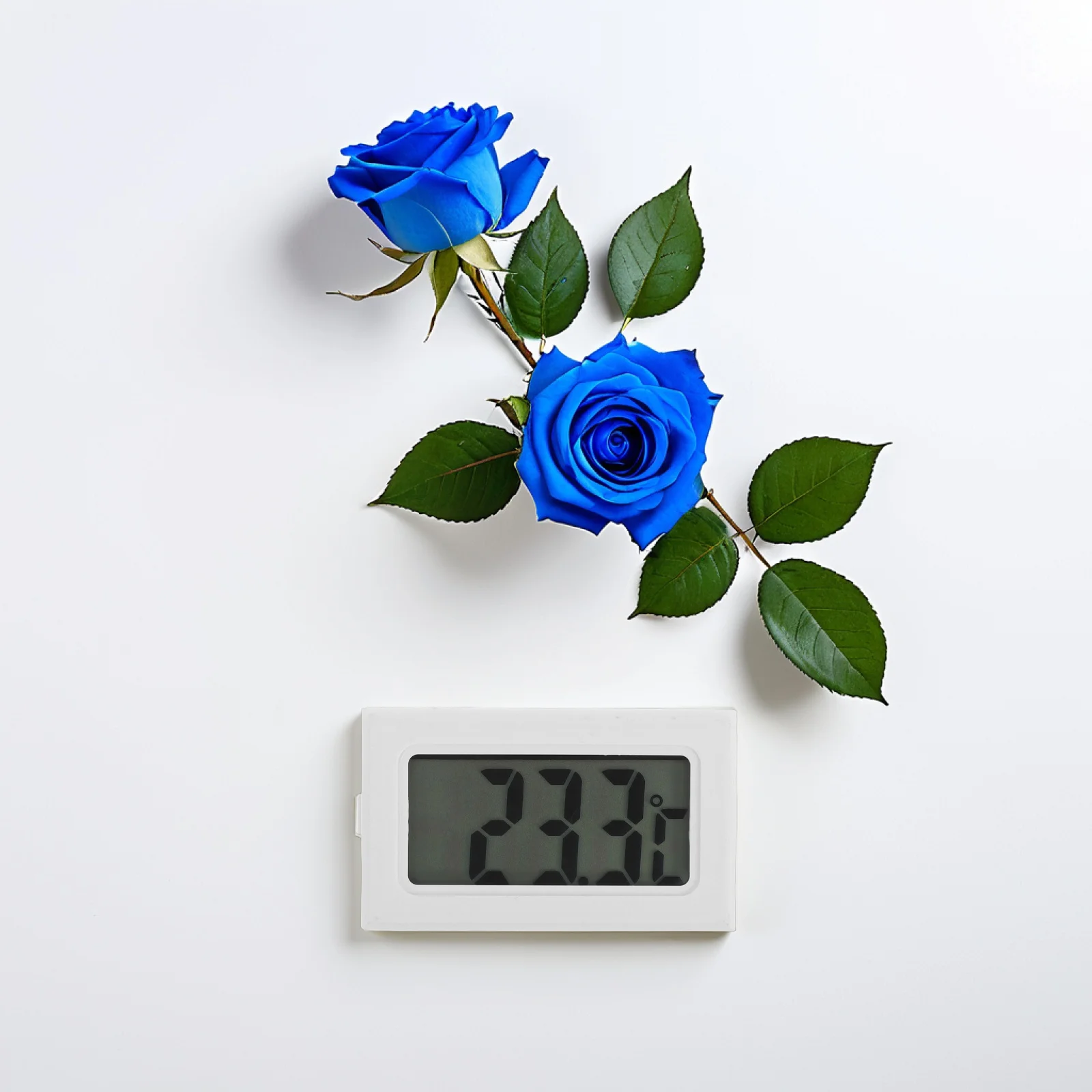 6Pcs Digital Indoor Thermometer Clear Display Accurate Temperature Readings for Home Bathroom Garage Greenhouse
6Pcs Digital Indoor Thermometer Clear Display Accurate Temperature Readings for Home Bathroom Garage Greenhouse