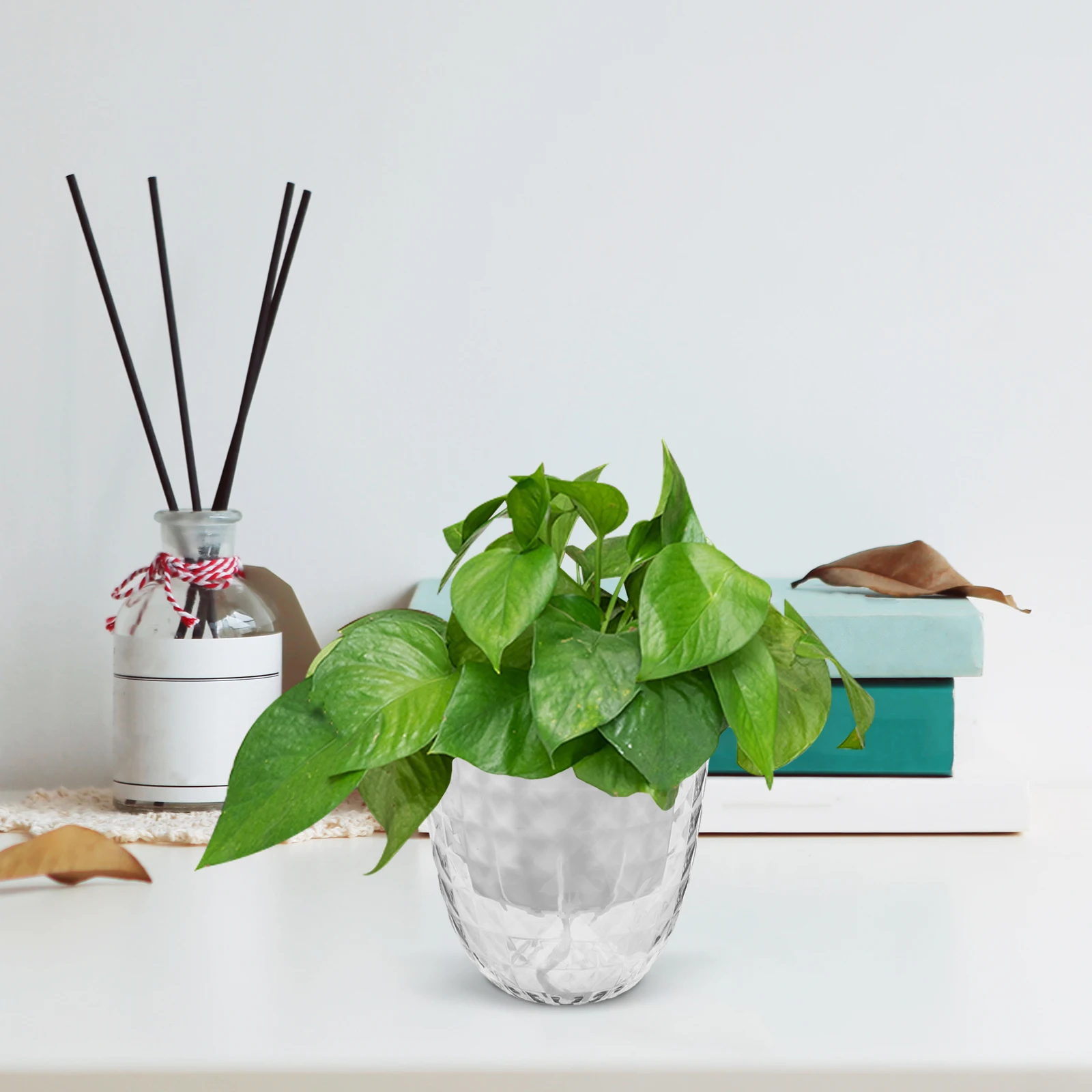 3pcs Self Watering Planter Clear Hydroponic Plant Pots Large Vases for Indoor Houseplants Lazy Gardening Storage Flowerpot
3pcs Self Watering Planter Clear Hydroponic Plant Pots Large Vases for Indoor Houseplants Lazy Gardening Storage Flowerpot