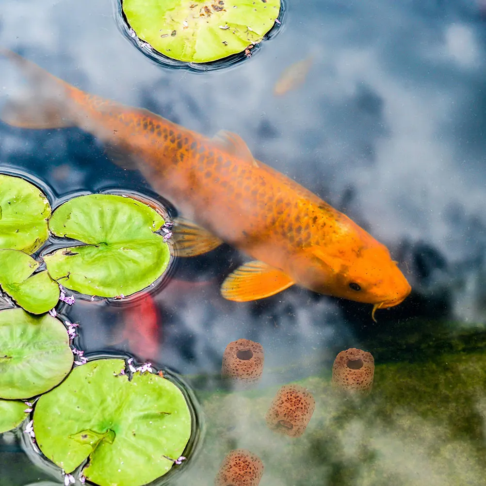 25pcs Plant Fixed Ring Water Aquatic Pottery Ring Weed Rings Aquarium Pottery Plants Tools Fish Tank Decor Pet Supplies
25pcs Plant Fixed Ring Water Aquatic Pottery Ring Weed Rings Aquarium Pottery Plants Tools Fish Tank Decor Pet Supplies