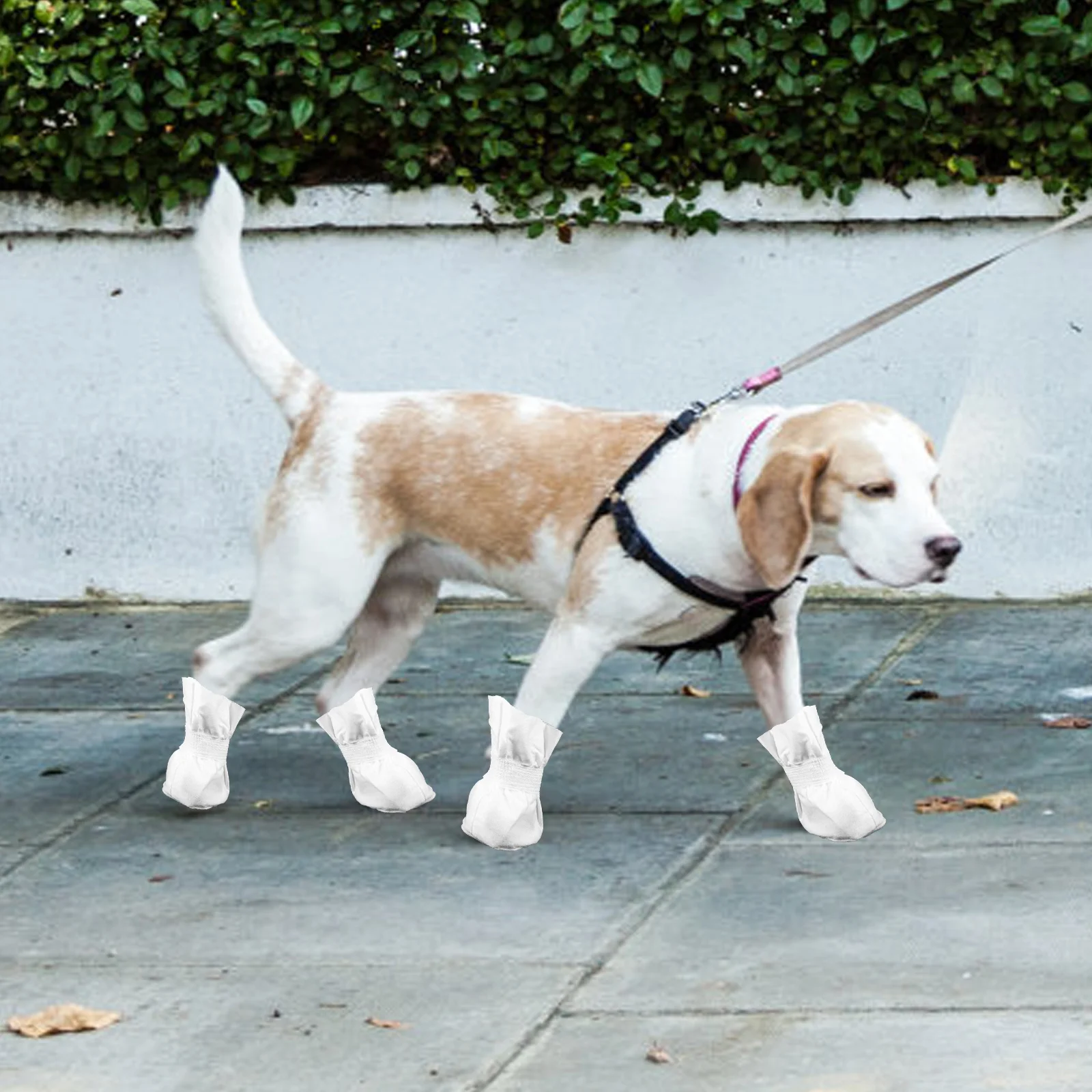 4 Pcs Pet Foot Cover Shoes Disposable Dog Boots White Cloth Small Dogs Protect Feet from Dirt Debris Hot Roads Cold Weather
4 Pcs Pet Foot Cover Shoes Disposable Dog Boots White Cloth Small Dogs Protect Feet from Dirt Debris Hot Roads Cold Weather