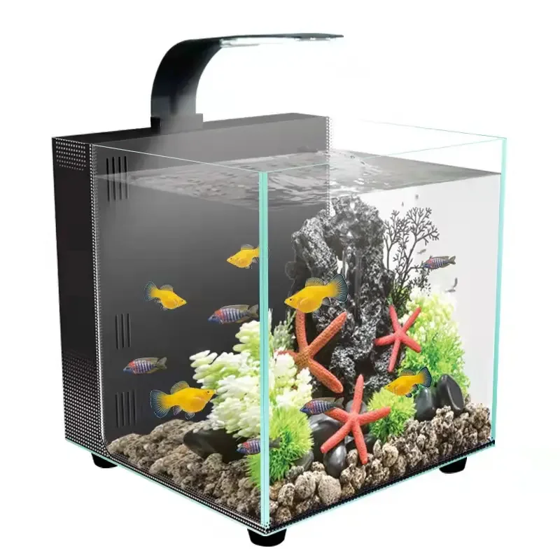 High Quality Aquarium Fish Tank Aquarium Small Large Size Aquarium Fish Tank
High Quality Aquarium Fish Tank Aquarium Small Large Size Aquarium Fish Tank