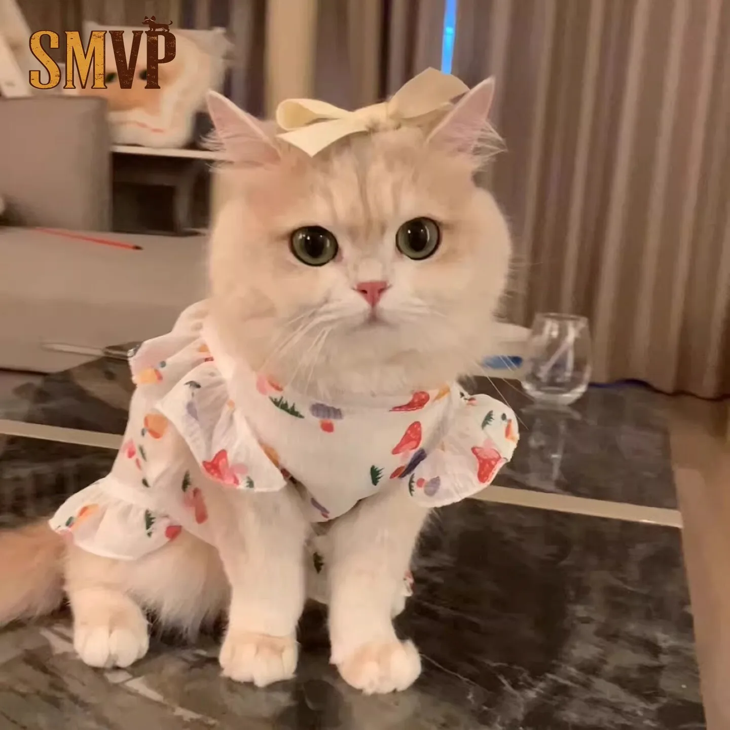 Summer Light and Breathable Small Flying Sleeves Mushroom Cartoon Cute Dress Can Be Worn By Cats and Small Dogs
Summer Light and Breathable Small Flying Sleeves Mushroom Cartoon Cute Dress Can Be Worn By Cats and Small Dogs