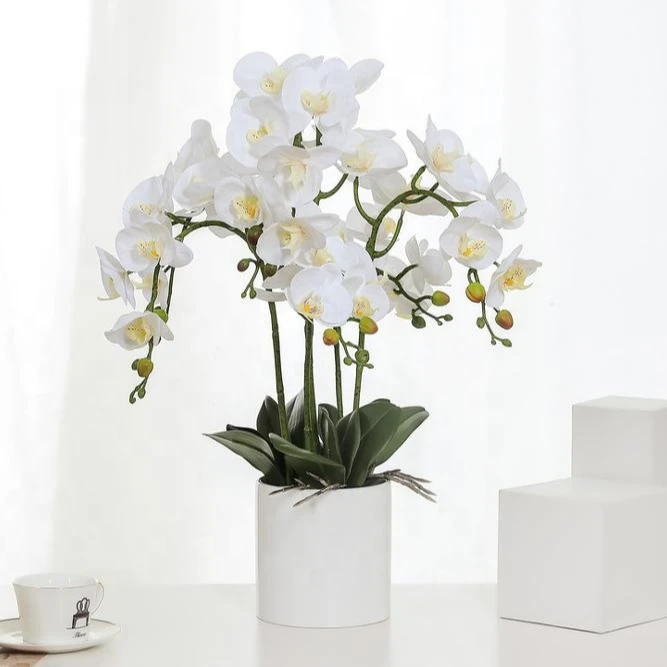 Real Touch 3D Printing butterfly Orchid Home Garden Wedding Bouquet Artificial White Orchid Flowers Bonsai
Real Touch 3D Printing butterfly Orchid Home Garden Wedding Bouquet Artificial White Orchid Flowers Bonsai