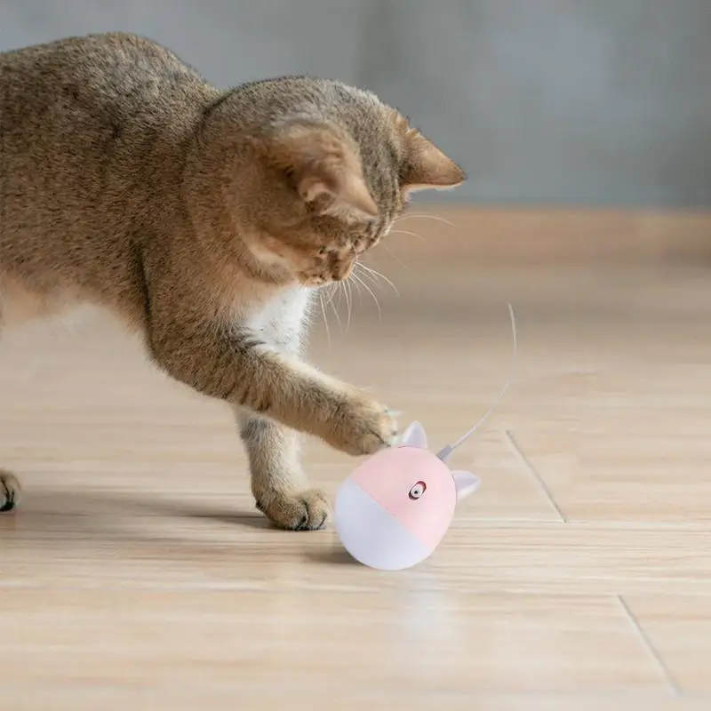 Electric Cat Toy Automatic Rotating Toy For Kitten Automatic Cat Toys Interactive Rotating Toys Pet Exercise Electric Toys For
Electric Cat Toy Automatic Rotating Toy For Kitten Automatic Cat Toys Interactive Rotating Toys Pet Exercise Electric Toys For