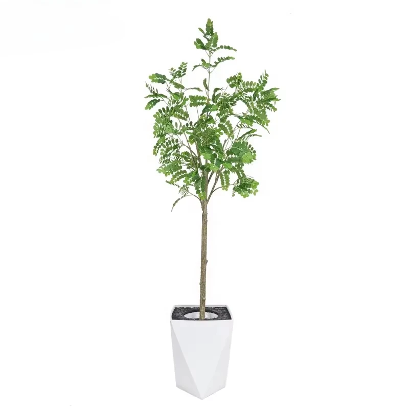 OH ARTS High Quality 6ft Japanese Pagoda Tree Locust Tree Garden Supplies for Indoor & Outdoor Home Christmas Decoration
OH ARTS High Quality 6ft Japanese Pagoda Tree Locust Tree Garden Supplies for Indoor & Outdoor Home Christmas Decoration