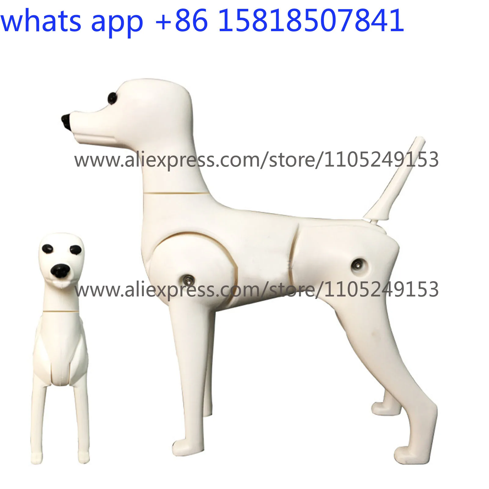 Professional Pet Grooming Fake Dog Model Practice Dog Standard Skeleton Model Dog Pet Simulator Model
Professional Pet Grooming Fake Dog Model Practice Dog Standard Skeleton Model Dog Pet Simulator Model