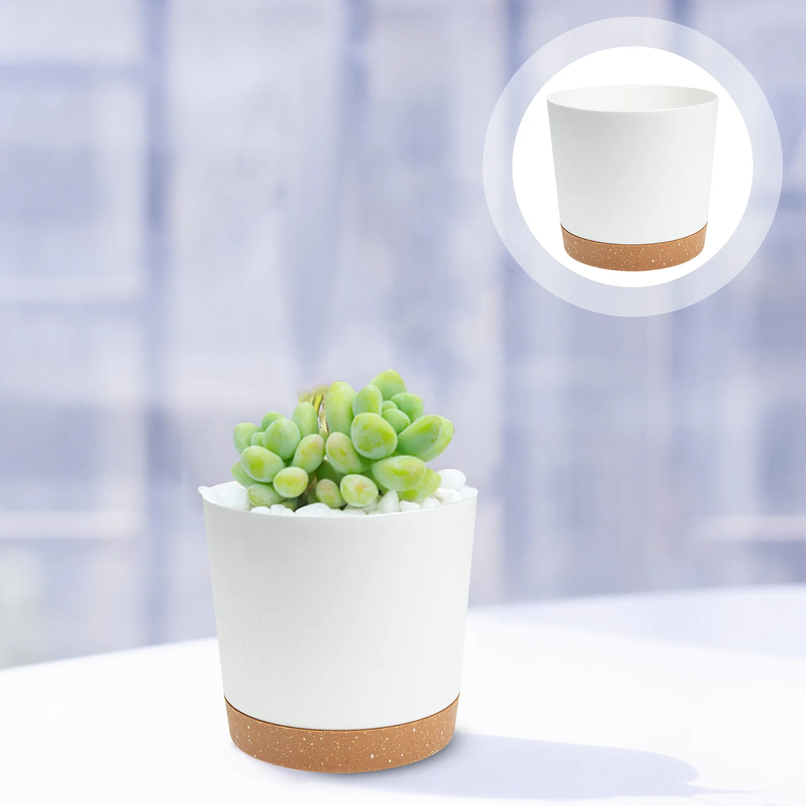 2 Pcs Live Succulents Plants Pots for Indoor Gardening Flowerpots Household Plastic Planter
2 Pcs Live Succulents Plants Pots for Indoor Gardening Flowerpots Household Plastic Planter
