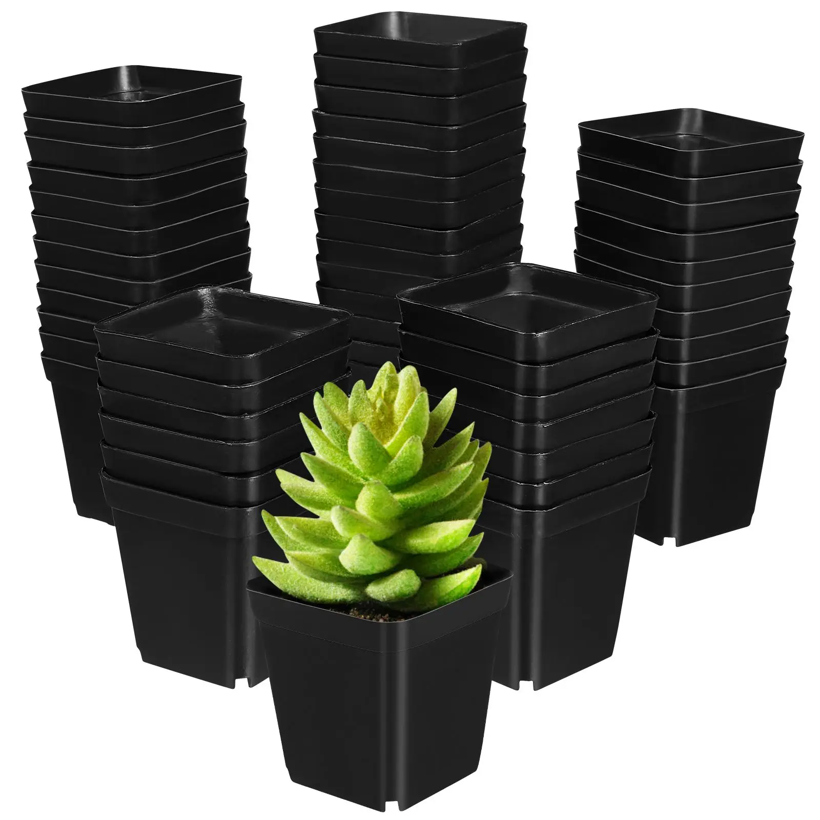 50 Pcs Plastic Flower Pots Lightweight Durable Drainage for Balcony Garden Plant Nursery Small Square Containers
50 Pcs Plastic Flower Pots Lightweight Durable Drainage for Balcony Garden Plant Nursery Small Square Containers