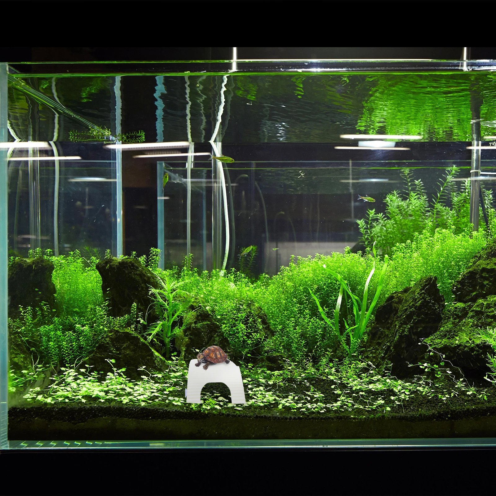 Turtle Climbing Terrace ABS Stone Platform for Water Turtles Frogs Lizards Tortoises Basking Floating Hide Resting Healthy 
Turtle Climbing Terrace ABS Stone Platform for Water Turtles Frogs Lizards Tortoises Basking Floating Hide Resting Healthy