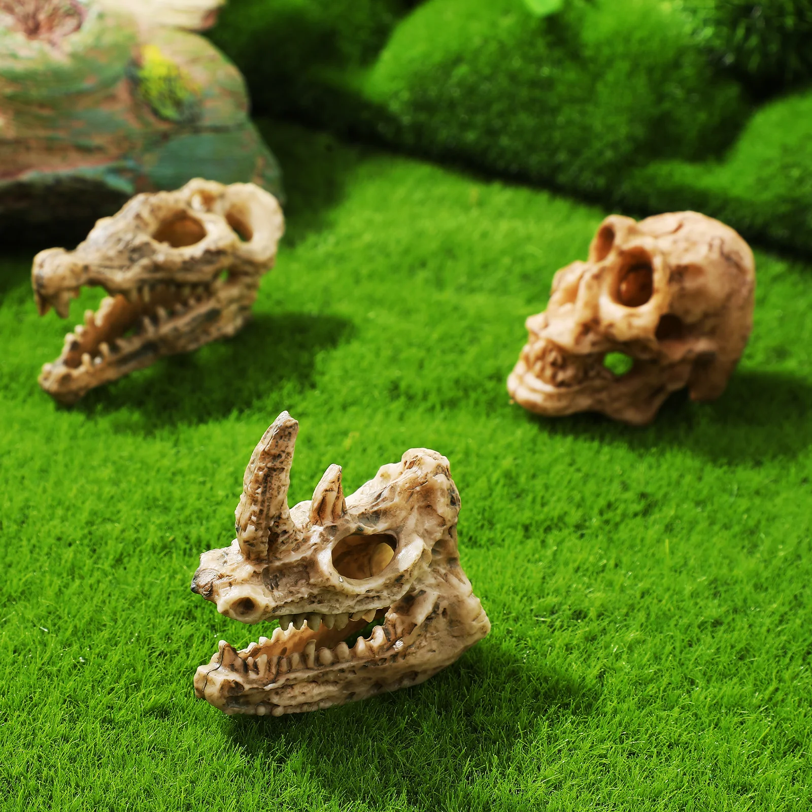 6 Pcs Mini Decorations Realistic Design Home nament Small Statue For Crafts Small Skulls For Crafts Desktop
6 Pcs Mini Decorations Realistic Design Home nament Small Statue For Crafts Small Skulls For Crafts Desktop