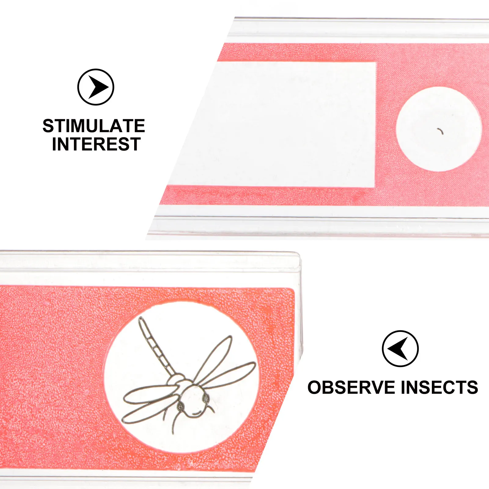 12 Plastic Microscope Slides Kids Insect Specimen Set Safe Non Cutting Children Science Education Assorted Collection
12 Plastic Microscope Slides Kids Insect Specimen Set Safe Non Cutting Children Science Education Assorted Collection