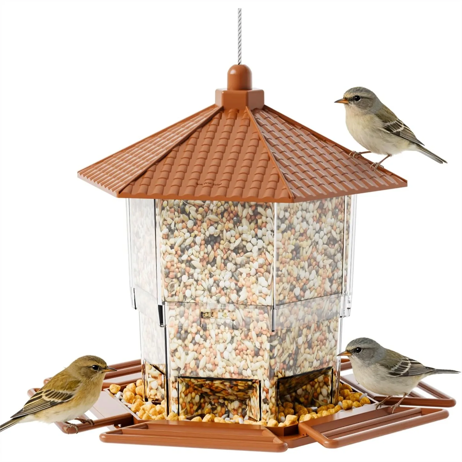 Large Hanging Bird Feeder for Outdoors with Squirrel Proof Roof, Plastic Wild Bird Seed Feeder for Blue Jay, Cardinal, Garden
Large Hanging Bird Feeder for Outdoors with Squirrel Proof Roof, Plastic Wild Bird Seed Feeder for Blue Jay, Cardinal, Garden
