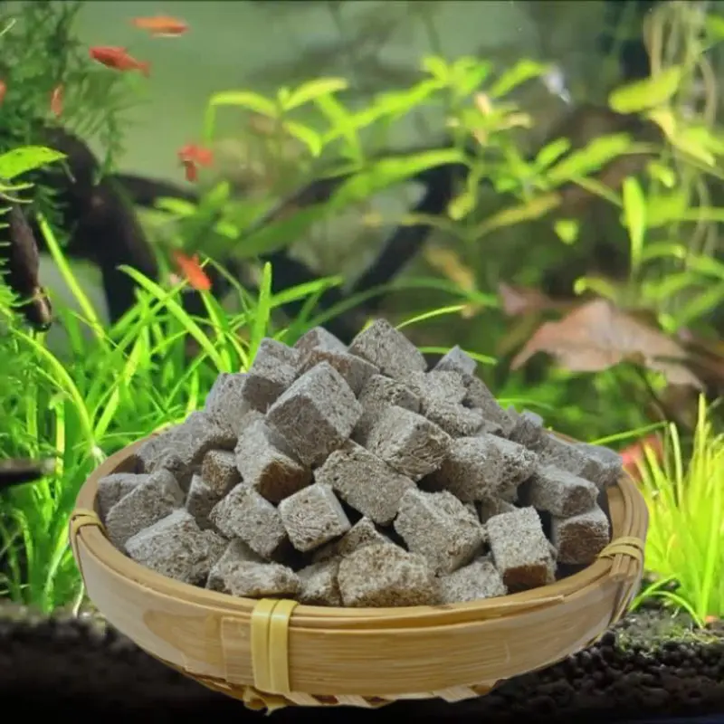 Freeze Dried Red Blood Worm Tubifex Cube Aquarium Tropical Fish Feed Food
Freeze Dried Red Blood Worm Tubifex Cube Aquarium Tropical Fish Feed Food