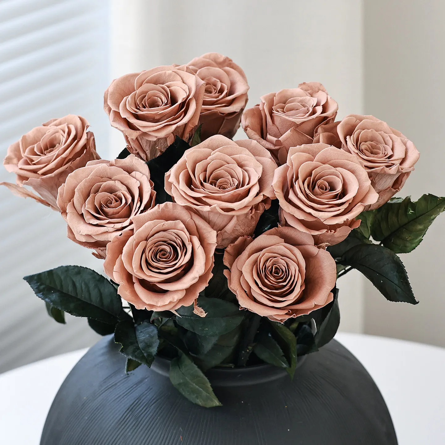3PCS Cappuccino Rose Preserved Flowers - High-End Real Dried Rose Bouquet for Living Room Decor, Birthday Gift for Best Friend
3PCS Cappuccino Rose Preserved Flowers - High-End Real Dried Rose Bouquet for Living Room Decor, Birthday Gift for Best Friend