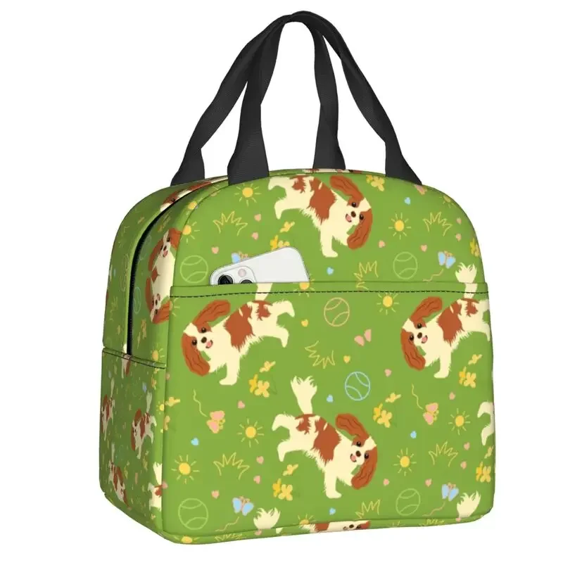 Playing Cavalier King Charles Spaniel Insulated Lunch Bag for Women Waterproof Dog Cooler Thermal Lunch Box Kids School Children
Playing Cavalier King Charles Spaniel Insulated Lunch Bag for Women Waterproof Dog Cooler Thermal Lunch Box Kids School Children