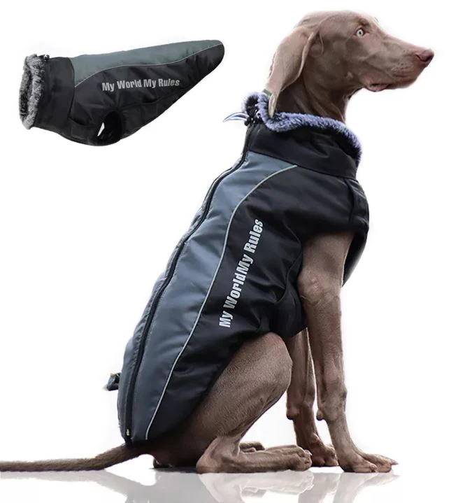 Windproof Water Repellent Pet Apparel Warm Padded Hunting Large Winter Dog Thick Vest for Outdoor
Windproof Water Repellent Pet Apparel Warm Padded Hunting Large Winter Dog Thick Vest for Outdoor