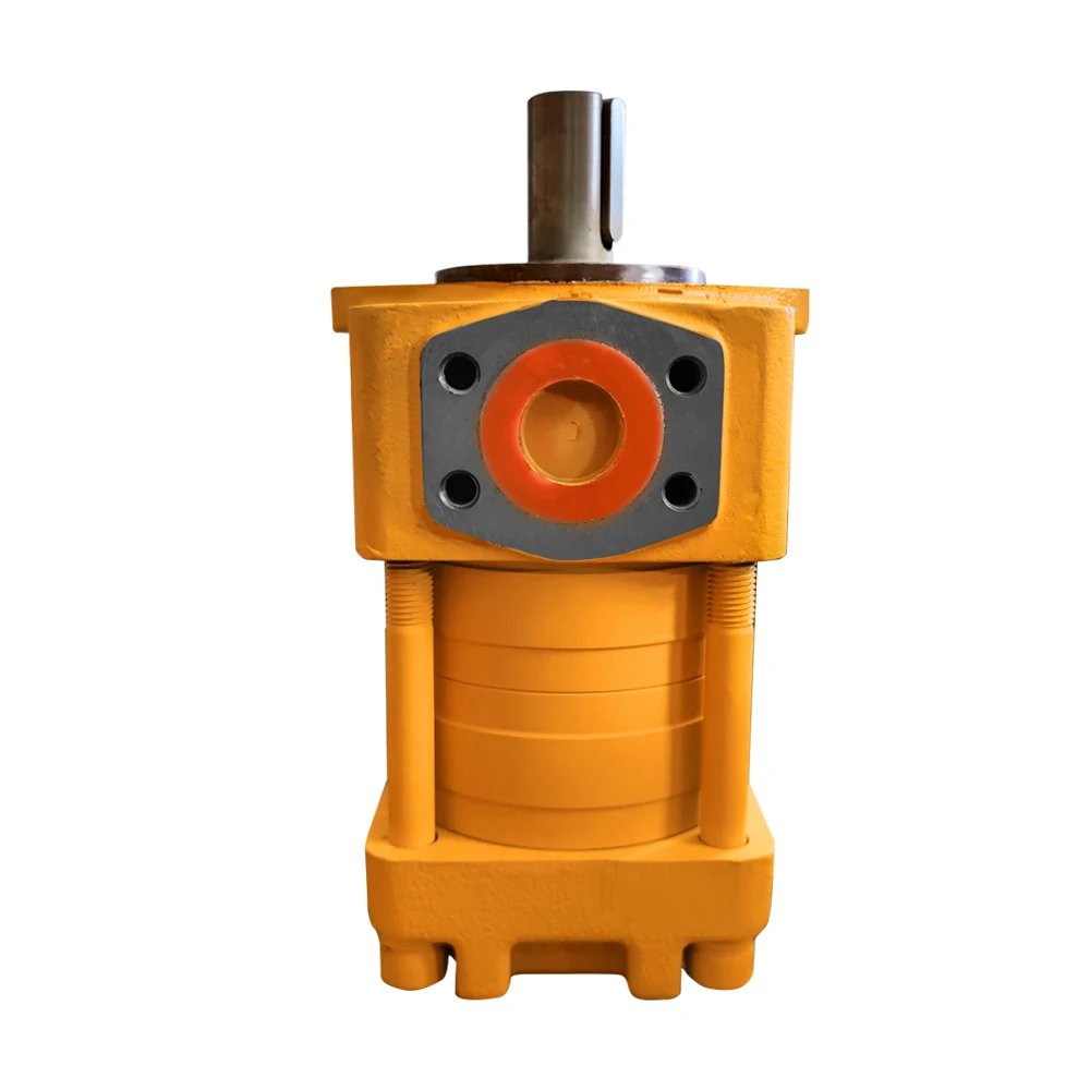 LF G40/50/63F NT4-D40/50/63F Internal Gear Pumps For Bending Machine Molding Machine
LF G40/50/63F NT4-D40/50/63F Internal Gear Pumps For Bending Machine Molding Machine
