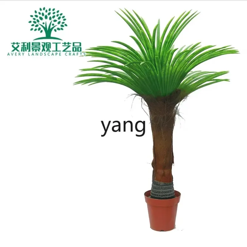 LMM Simulation Palm Tree Plant Indoor and Outdoor FRP Decorative Tree Fake Trees
LMM Simulation Palm Tree Plant Indoor and Outdoor FRP Decorative Tree Fake Trees