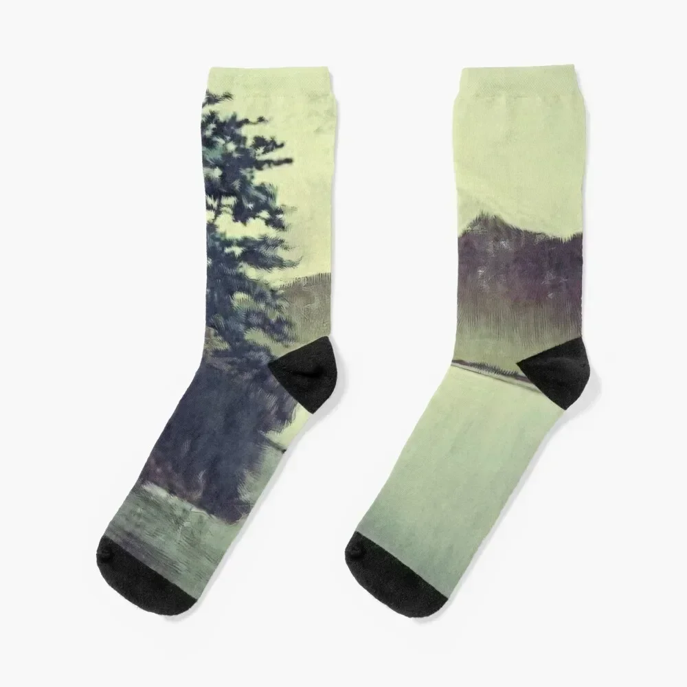 Views at Nagahama Socks Stockings valentine gift ideas designer brand with print Socks For Men Women's
Views at Nagahama Socks Stockings valentine gift ideas designer brand with print Socks For Men Women's